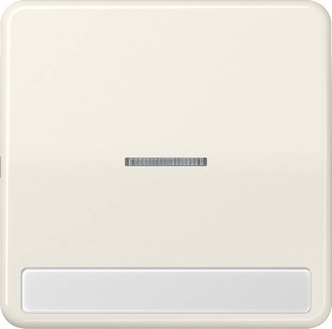 Jung Wippe Licht./Schriftf.ws CD 590 NAKO5