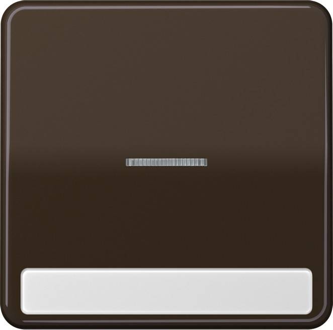 Jung Wippe Licht./Schriftf.br CD 590 NAKO5 BR