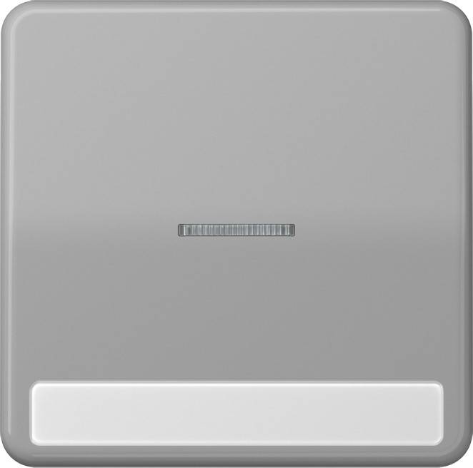 Jung Wippe Licht./Schriftf.gr CD 590 NAKO5 GR