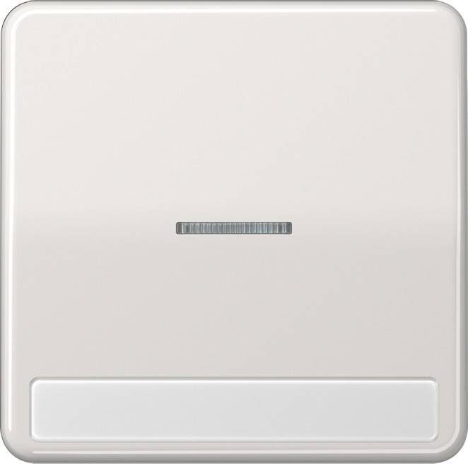 Jung Wippe Licht./Schriftf.lgr CD 590 NAKO5 LG