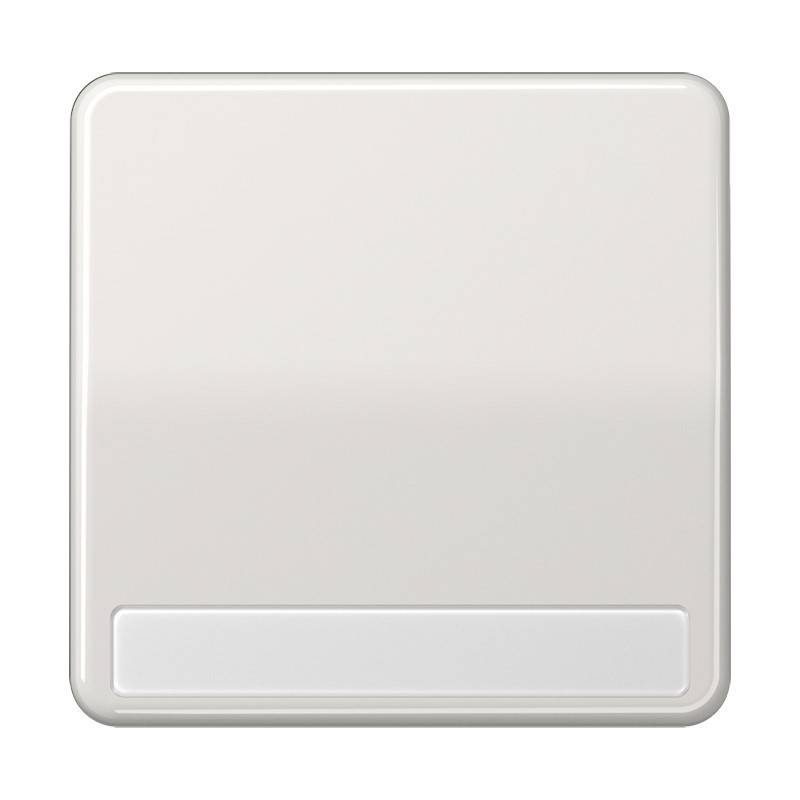 Jung Wippe Schriftfeld lgr CD 590 NA LG