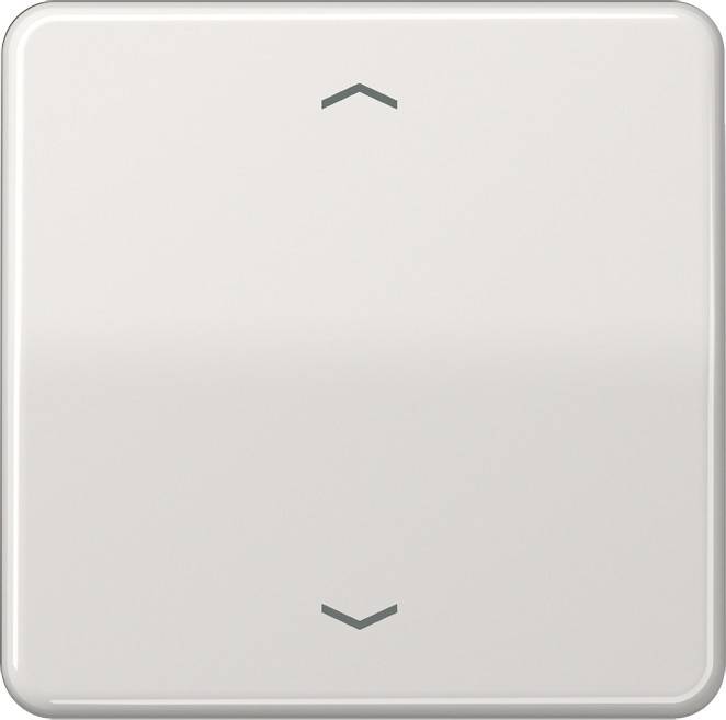 Jung Wippe Symbole lgr CD 590 P LG