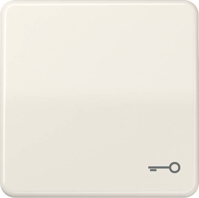 Jung Wippe Symbol TÜR ws CD 590 T