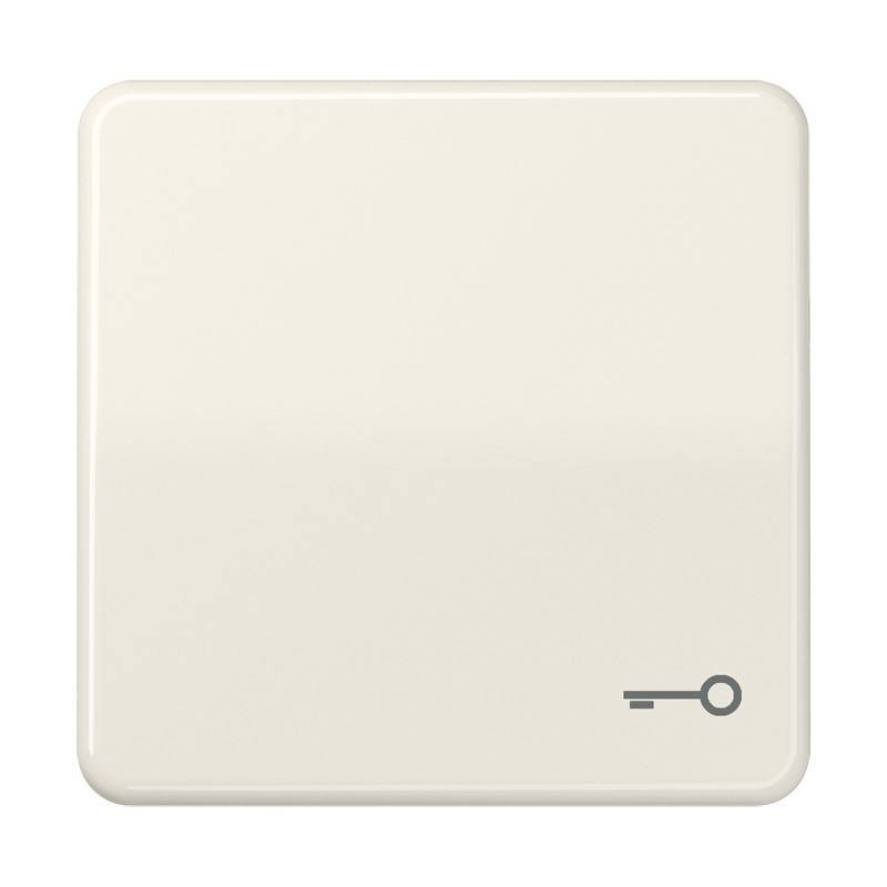 Jung Wippe Symbol TÜR ws CD 590 T