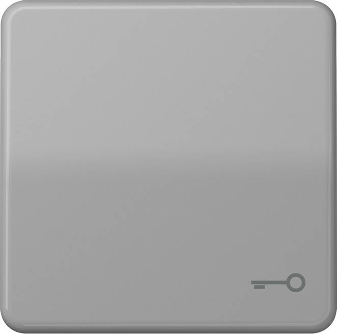 Jung Wippe Symbol TÜR gr CD 590 T GR