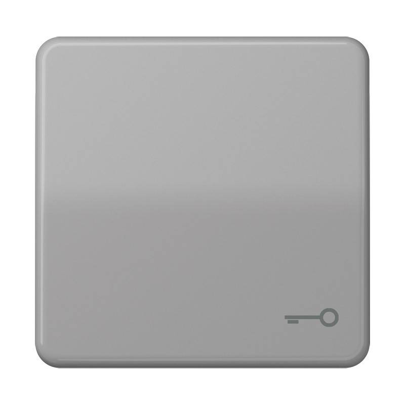 Jung Wippe Symbol TÜR gr CD 590 T GR