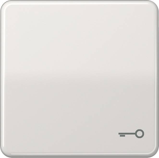 Jung Wippe Symbol TÜR lgr CD 590 T LG