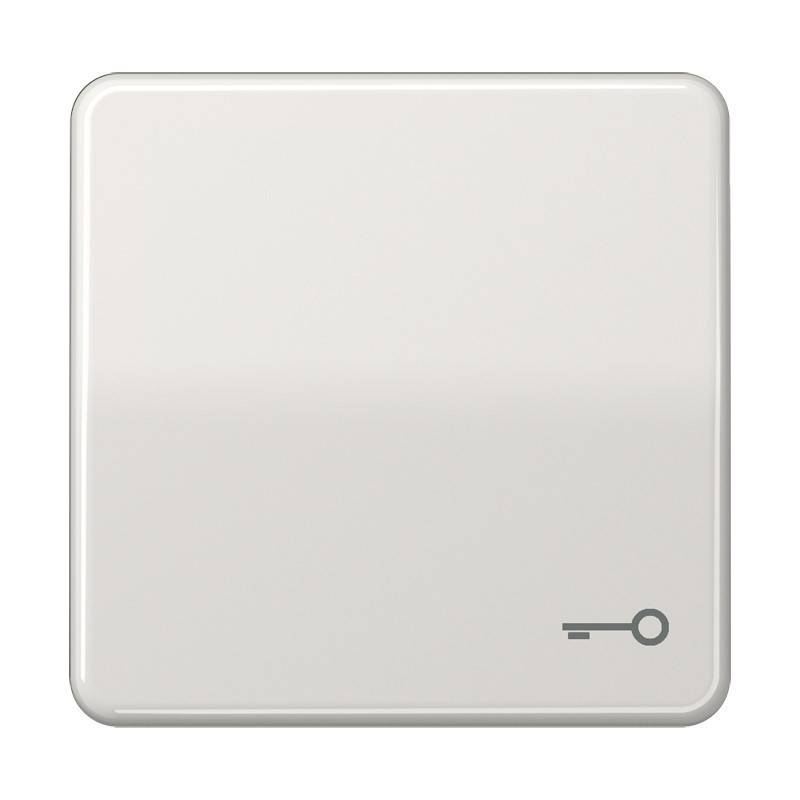 Jung Wippe Symbol TÜR lgr CD 590 T LG