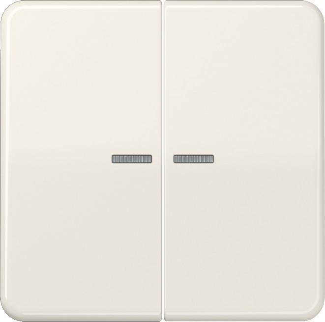 Jung Wippe Lichtleiter ws CD 595 KO5BF