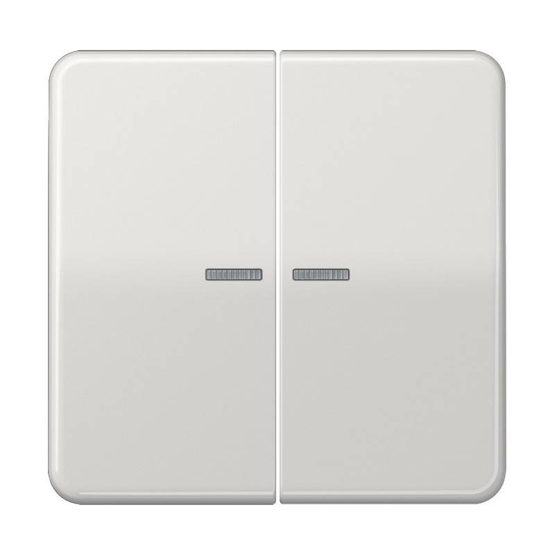 Jung Wippe Lichtleiter lgr CD 595 KO5BF LG