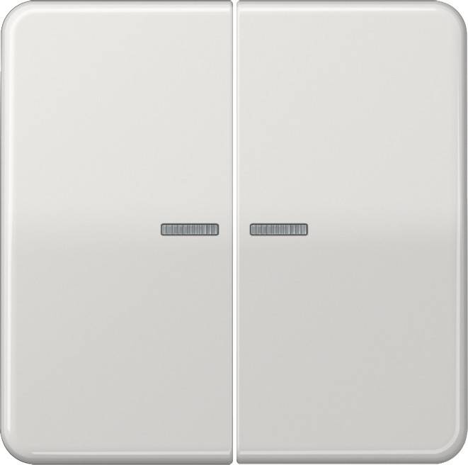 Jung Wippe Lichtleiter lgr CD 595 KO5BF LG