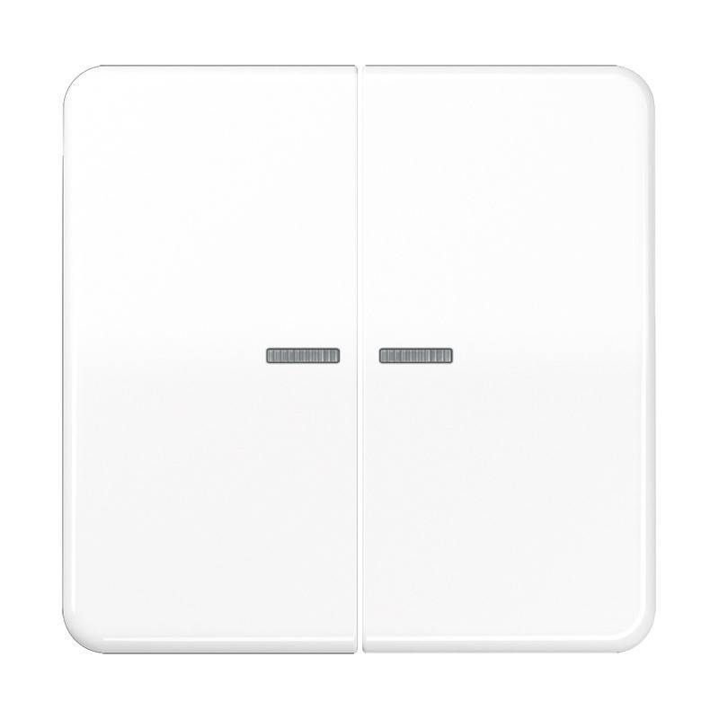 Jung Wippe Lichtleiter aws CD 595 KO5BF WW