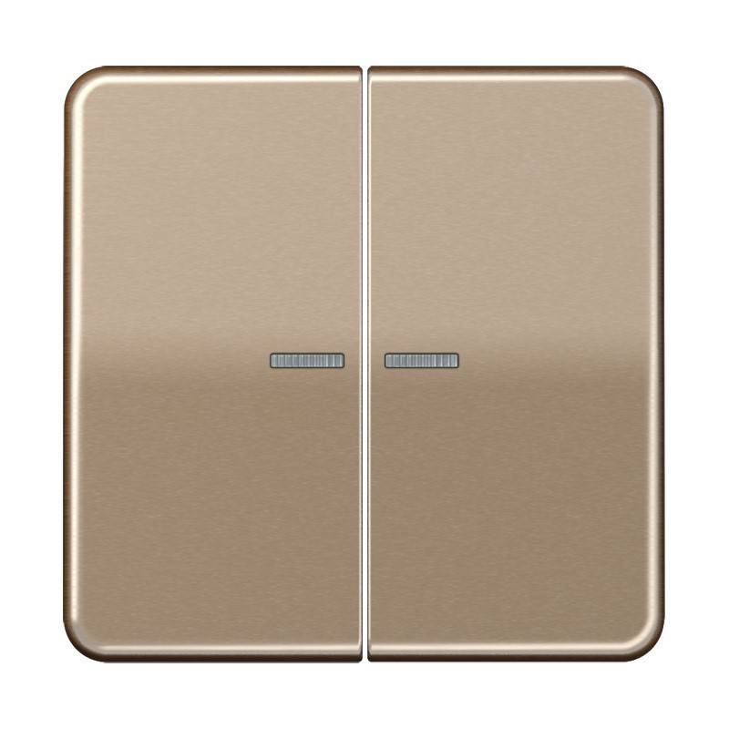 Jung Wippe Lichtleiter go-brz CD 595 KO5 GB
