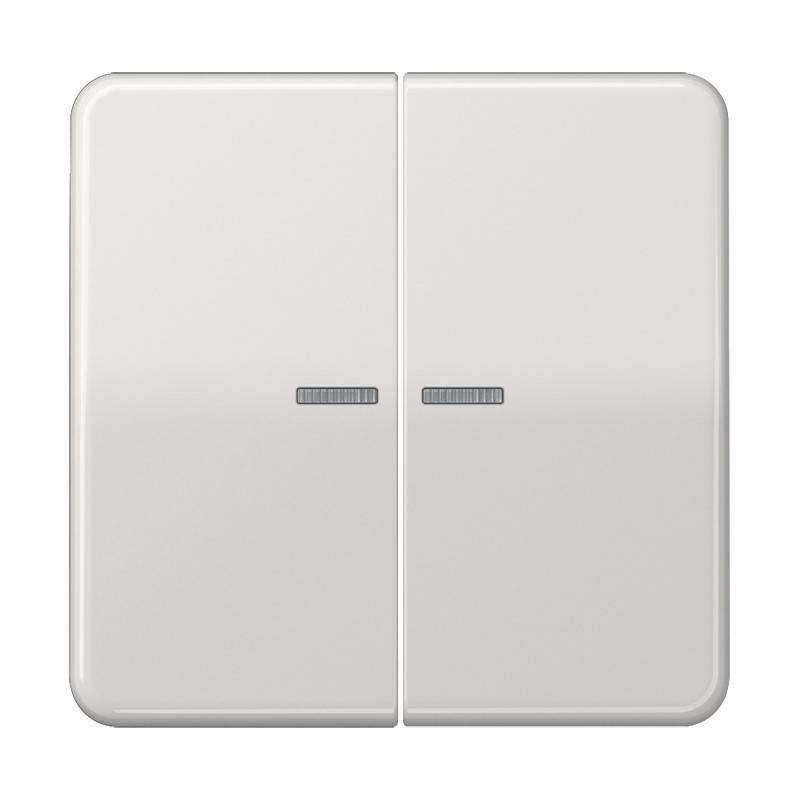 Jung Wippe Lichtleiter lgr CD 595 KO5 LG