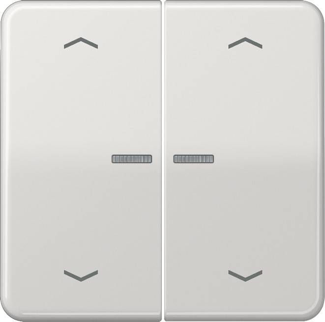 Jung Wippe Symbole/Lichtl.lgr CD 595 KO5MP LG