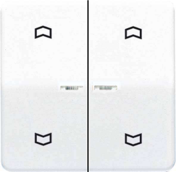 Jung Wippe Symbole/Lichtl.aws AS 591-5 KO5MP WW