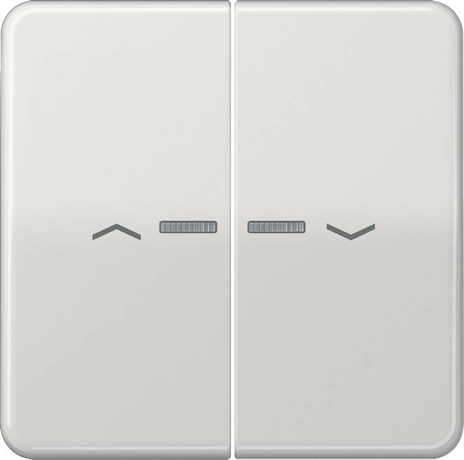 Jung Wippe Symbole/Lichtl.lgr CD 595 KO5P LG