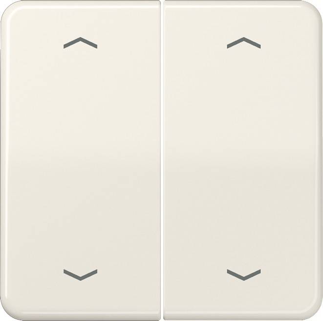 Jung Wippe Symbole ws CD 595 MP
