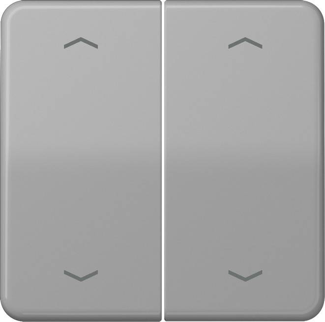 Jung Wippe Symbole gr CD 595 MP GR