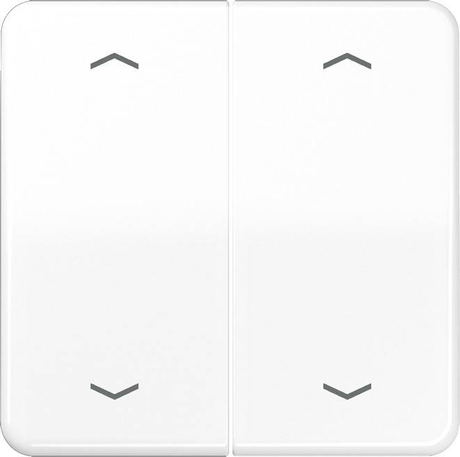 Jung Wippe Symbole aws CD 595 MP WW