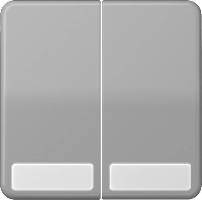 Jung Wippe Schriftfeld gr CD 595 NA GR