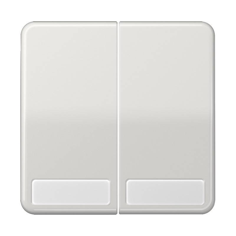 Jung Wippe Schriftfeld lgr CD 595 NA LG