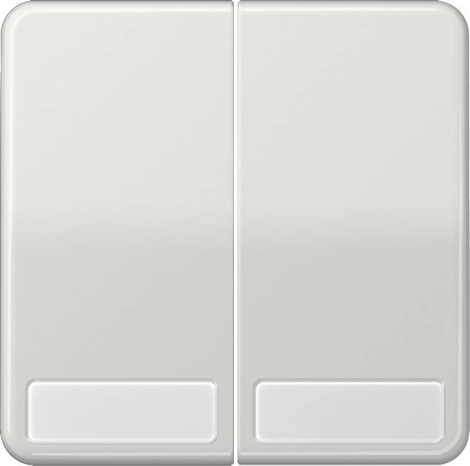 Jung Wippe Schriftfeld lgr CD 595 NA LG