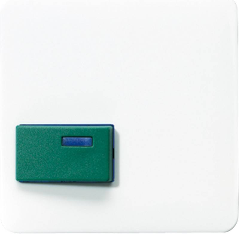 Jung Abdeckung aws CD 642 C WW