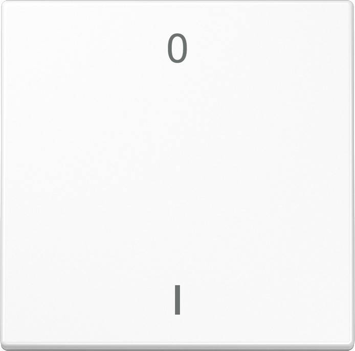 Jung Funk-Wandsender aws ENO LS 990-01 WW