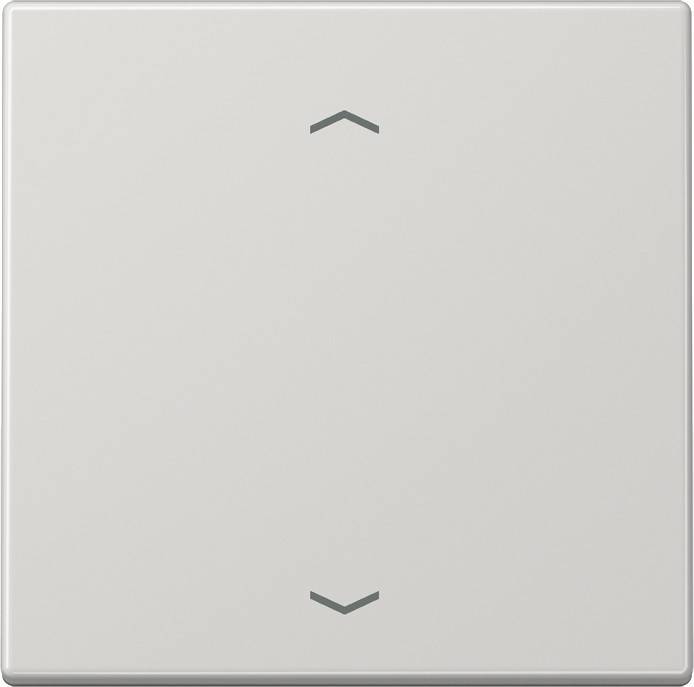 Jung Funk-Wandsender lgr ENO LS 990 P LG