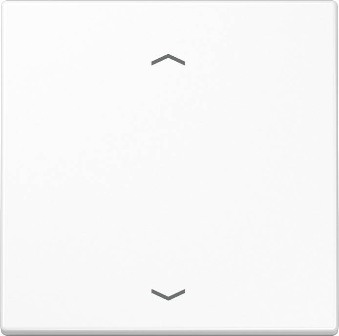 Jung Funk-Wandsender aws ENO LS 990 P WW