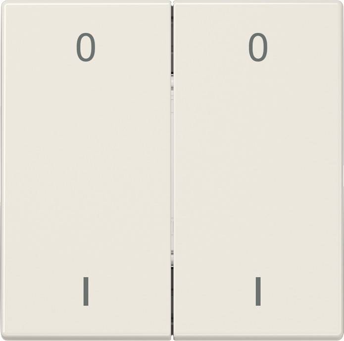 Jung Funk-Wandsender ws ENO LS 995-01