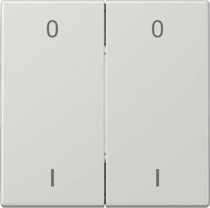 Jung Funk-Wandsender lgr ENO LS 995-01 LG