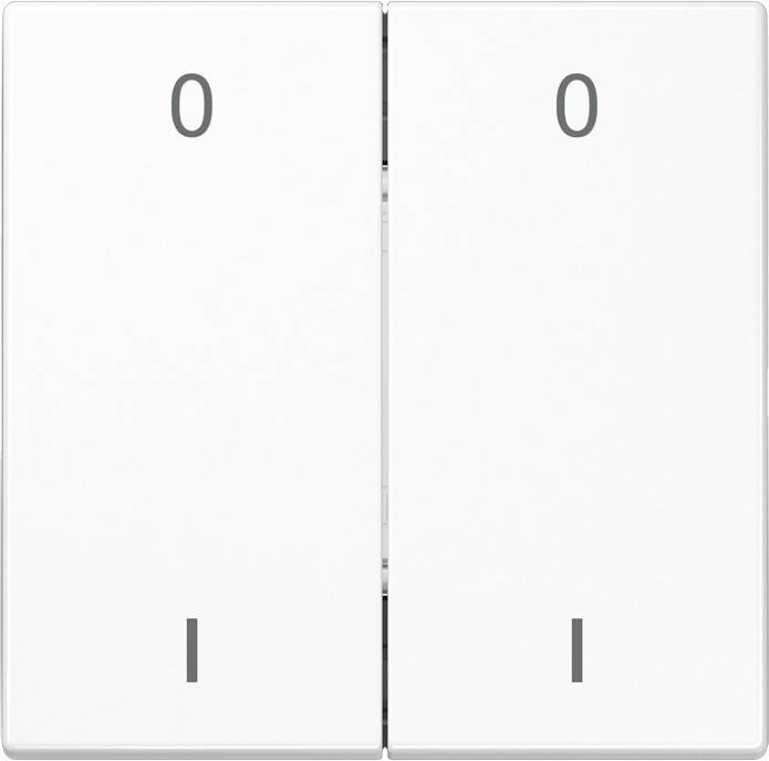 Jung Funk-Wandsender aws ENO LS 995-01 WW