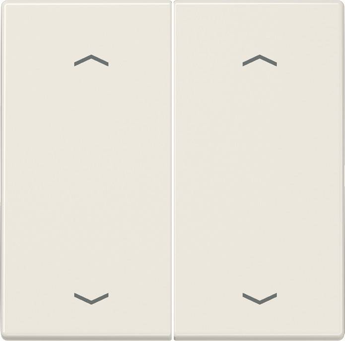 Jung Funk-Wandsender ws ENO LS 995 MP