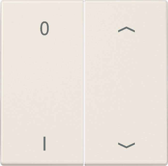 Jung Funk-Wandsender ws ENO LS 995 P01