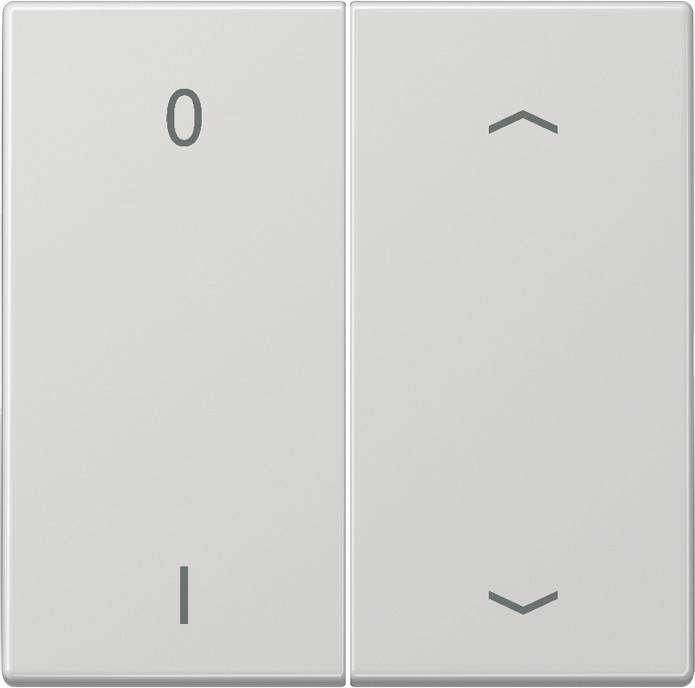 Jung Funk-Wandsender lgr ENO LS 995 P01 LG