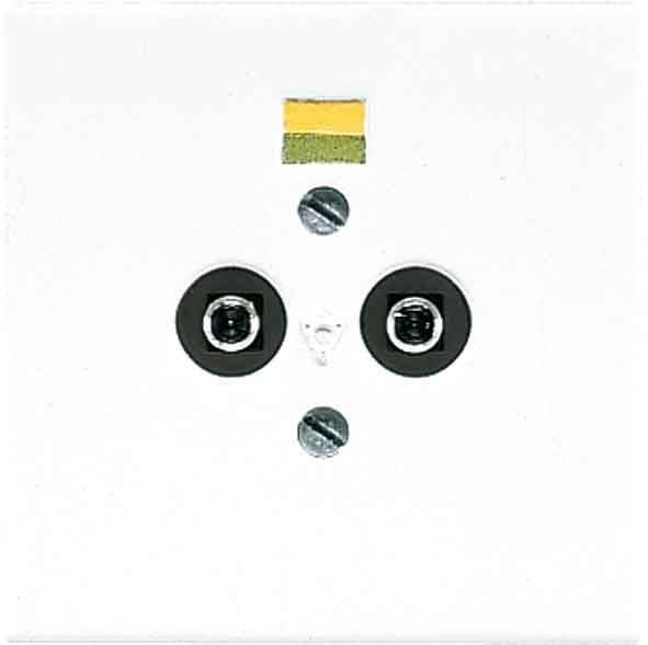 Eine weiße Wandsteckdose mit zwei kreisrunden Öffnungen und vier Schrauben. Ein kleines gelb und grün gestreiftes Etikett befindet sich oberhalb der Öffnungen.