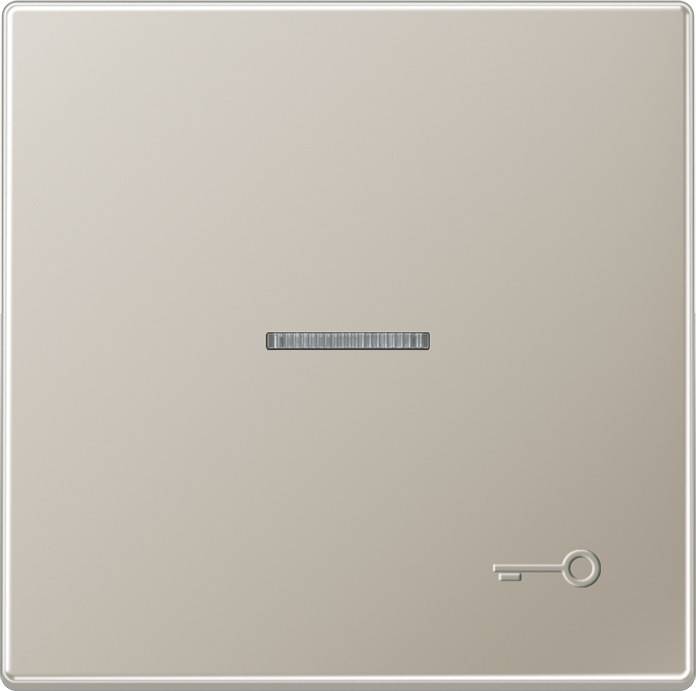 Jung Wippe geprägtes Symbol ES 2990 KO5 TP