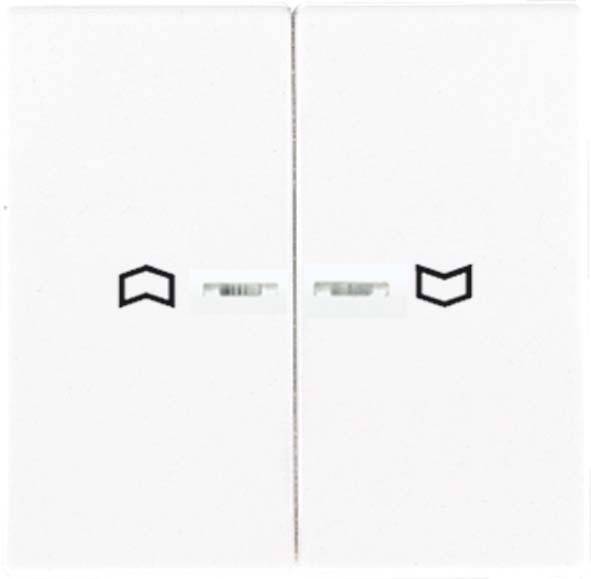 Jung Wippe Symbole/Lichtl.eds ES 2995 KO5P
