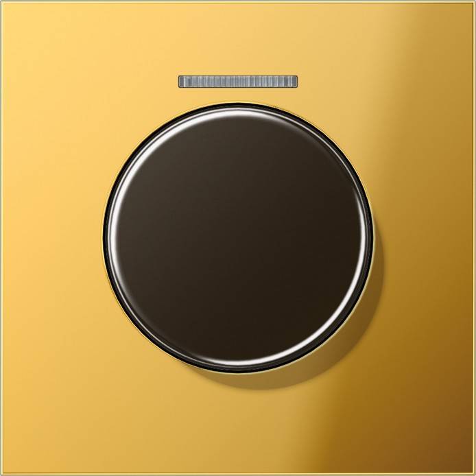 Jung Abdeckung Drehsensor GO 1940 KO5