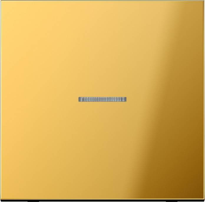 Jung Wippe Lichtleiter go GO 2990 KO5