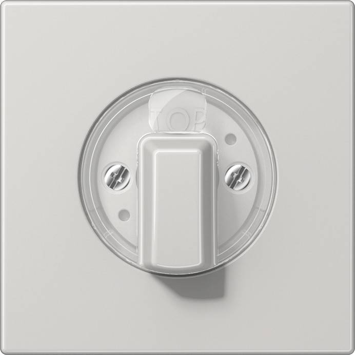 Jung Abdeckung LS 1941 LG