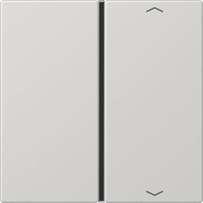 Jung Taste 1-fach lgr LS 401 TSAP LG