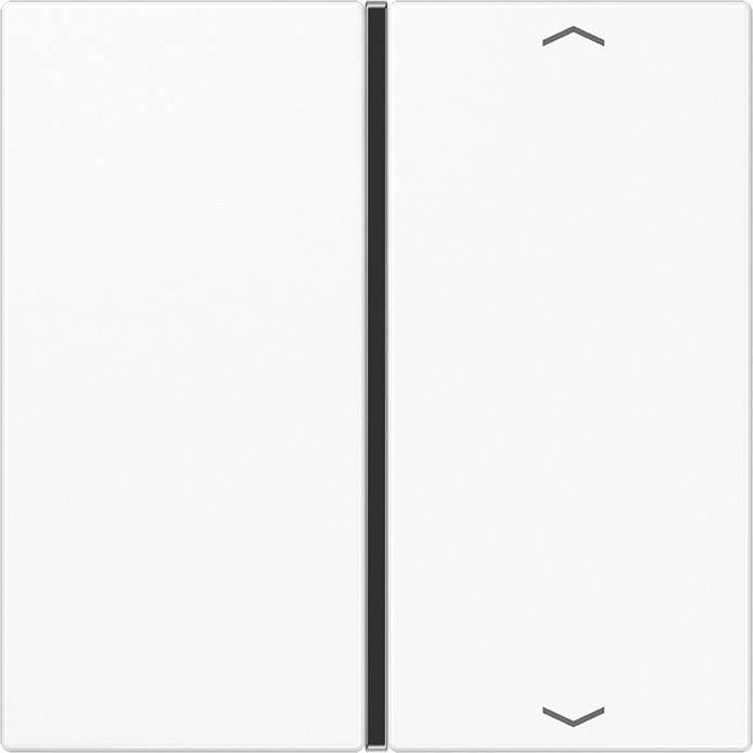 Jung Taste 1-fach aws LS 401 TSAP WW