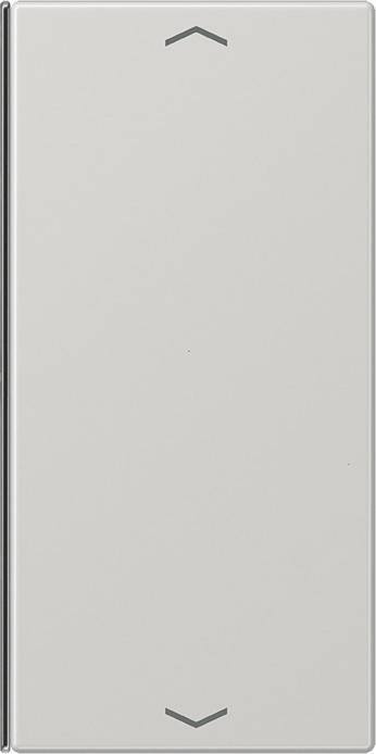 Jung Taste 2-fach lgr LS 402 TSAP LG