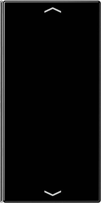 Jung Taste 2-fach sw LS 402 TSAP SW