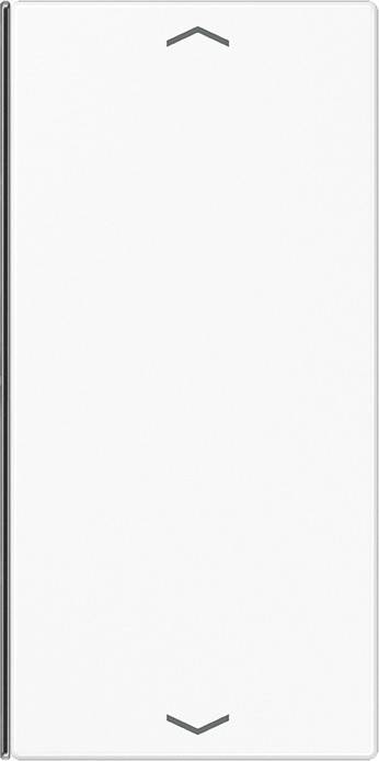 Jung Taste 2-fach aws LS 402 TSAP WW