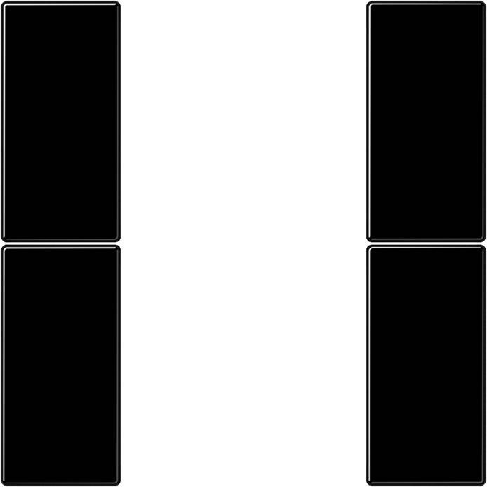 Jung Tastensatz, 2fach LS 502 TSA SW