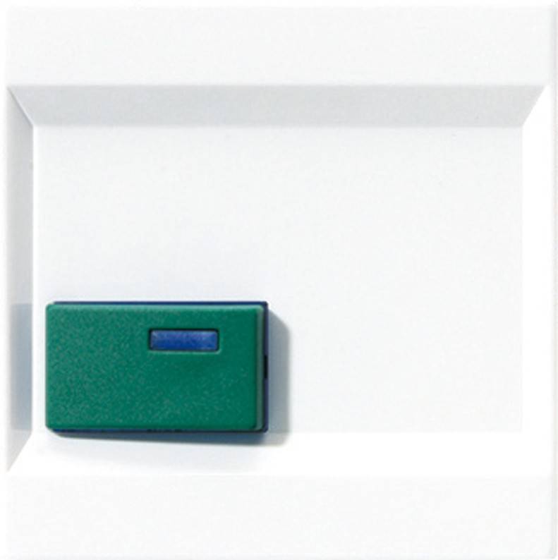 Jung Abdeckung aws LS 642 C WW